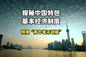 探秘中国特色基本经济制度两大支柱：何谓“两个毫不动摇”视频封面