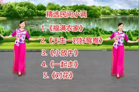 民间小调《福满农家》《天生一对好鸳鸯》《小放牛》《一起走》视频封面