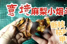 别人丢掉的废料麻梨疙瘩硬是让手艺人制作成意境小烟斗价值翻百倍视频封面