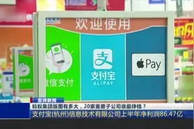 蚂蚁集团版图有多大，20家重要子公司谁最挣钱？视频封面