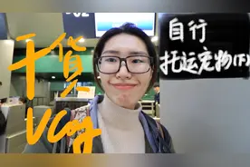 猫咪托运全过程(下) | 国内托运一只宠物猫咪要多少钱？视频封面