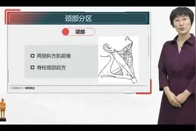 针灸穴位解剖学课程2.1颈部概述视频封面