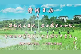 5月22日 诗词日历《村家四月词》历史上的今天：数学家陈景润出生视频封面