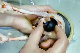 广东靓汤乌鸡白凤丸鸽子汤，男人看到后转发给老婆，赶紧收藏视频封面