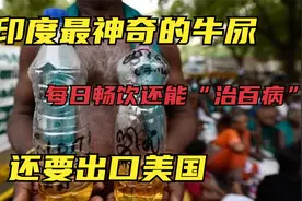 印度最神秘的机构，牛尿做饮料，每日畅饮还能“治百病”视频封面