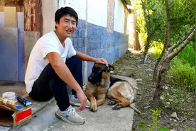花500块钱干一件大事，给德牧剃毛打针上药，保佑小旺一身健康视频封面