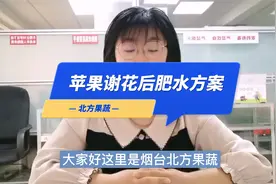 苹果谢花后肥水管理方案