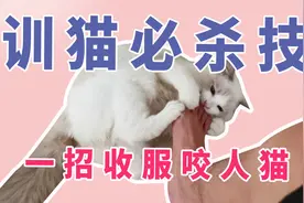 训猫必杀技一招收服咬人猫-制止猫咪犯错的正确方法#猫视频封面