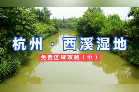 杭州西溪湿地公共开放区攻略（中）不花一分钱玩西溪湿地攻略！视频封面