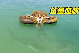 女主被扔进大海里，鲨鱼根本不敢吃她，原来她有鲨鱼血脉！奇幻片
