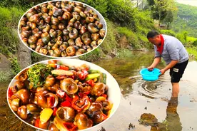 户外抓的田螺这样喂养，干净又方便，2斤红烧不够吃，流口水了视频封面