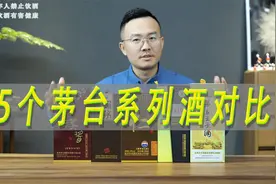 5个茅台系列酒对比：汉酱、赖茅传承、仁酒、贵州大曲、茅台王子视频封面