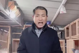 鸽子拉稀与副伤寒有何关联你知道吗？但愿我分享的对你有所帮助