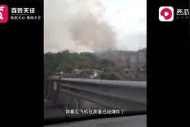 东航MU5735客机失事 目击者：那个飞机直直掉下来像木棍一样视频封面