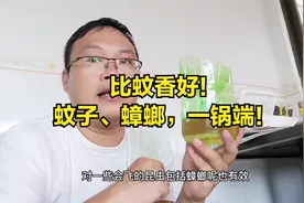 家里蚊虫多？别怕！自制“灭蚊”神器，蚊子、蟑螂一锅端视频封面