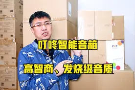 捡漏叮咚智能音箱，高智商、发烧级音质，反应速度不错！视频封面
