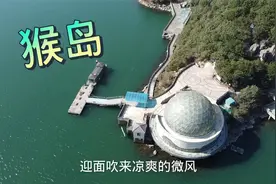 航拍浙江宁波郊区的猴岛，位于九龙湖中心，上面的猴子完全不怕人视频封面
