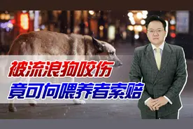 被流浪狗咬伤，竟可以向喂养者索赔！喂狗也有罪吗？视频封面