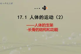 八年级生物新课——17.1人体的运动（2）长骨的结构和功能视频封面
