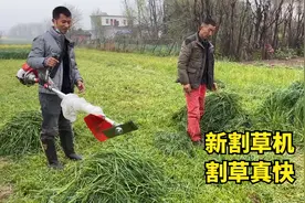 人工割草费时又费力，小伙花400元买台割草机，这割草效果杠杠的视频封面