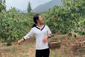 广西24岁单身女孩，远离城市繁华住在大山里，盼相亲能遇到缘分视频封面