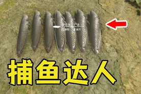 绿色地狱：为了治病，我一口气抓了6条鱼放任腐烂，生蛆啃伤口