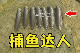 绿色地狱：为了治病，我一口气抓了6条鱼放任腐烂，生蛆啃伤口