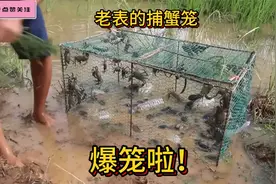 老表自制的捕蟹笼，爆笼啦！视频封面