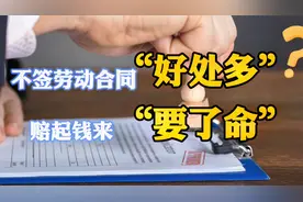公司不签订劳动合同“好处多”，遇到聪明的员工，可能赔到倒闭视频封面