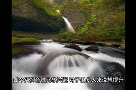 抖音的荣誉等级高了有什么特权吗视频封面