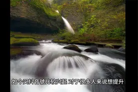 抖音的荣誉等级高了有什么特权吗视频封面