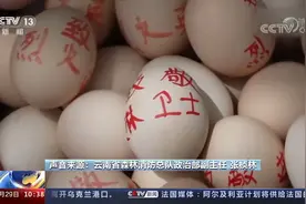 众志成城！2万人阻击重庆山火 多方力量汇聚 战胜肆虐山火视频封面