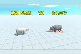 1头北极熊遇到1头犀牛，谁才是最强王者？这打斗很激烈视频封面