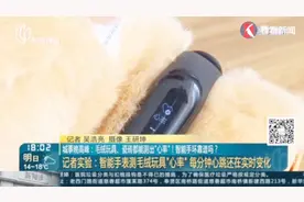 万物皆有灵？毛绒玩具、瓷砖都能被某品牌智能手环测出“心跳”视频封面