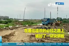 安徽巢湖水位上升，河水倒灌至白石天河，武警官兵紧急铺路保筑堤视频封面