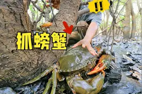 螃蟹的神仙吃法，大部分人一辈子都没见过！