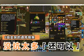 天龙八部怀旧服：打造七技能珍兽