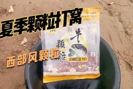 夏季红虫颗粒打窝会怎样？会不会小鱼疯狂抢食效果，水下为你呈现视频封面