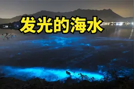为什么海水会发出蓝色光芒？视频封面