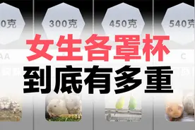 女生各罩杯到底有多重？堪比小白兔视频封面