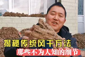 实拍岷县传统当归风干方法，木棒敲打，铁丝捆绑，冰天雪地中晾晒