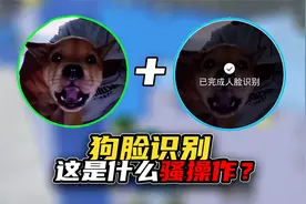 和平精英竟然可以狗脸识别进入游戏，这是什么骚操作？视频封面
