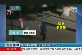 陕西西安·高校大叔教育流浪猫 猫：？？？