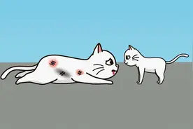 猫妈妈舍身救下小猫，小猫以为妈妈只是睡着了，还给妈妈找来食物