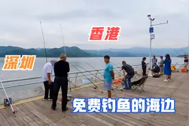 实拍盐田沙头角海滨栈道，深圳免费钓鱼的海边，我们一起看看视频封面