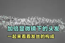 将头发放大到极致，一起来看看你发丝的组成结构！
