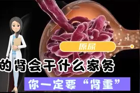 深度认识你的肾，保护你的肾更应该了解肾的工作原理，防止结石