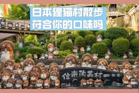 日本旅游团实拍，日本导游不容易啊，大家消费太理性了。。。。。视频封面