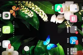 加油卡充值卡转让变现，金玉收藏手把手教您实现！