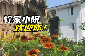农村小伙低成本改造小院，半年花费不到1000元，终于迎来女主人视频封面